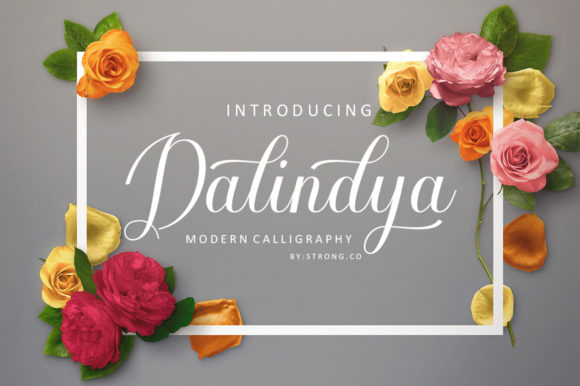 Dalinya: A Beautiful Calligraphy Script for Authentic Designs