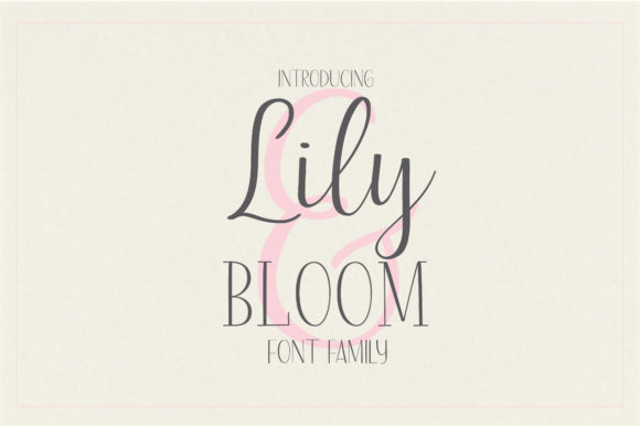 Lily Bloom: One Font Family, Three Distinct Voices