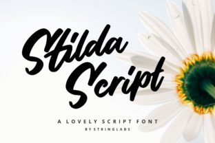 Meet Stilda: The Script Font That Celebrates Creative Joy