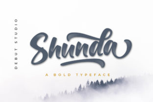 Shunda: The Elegant Flow of Modern Typography
